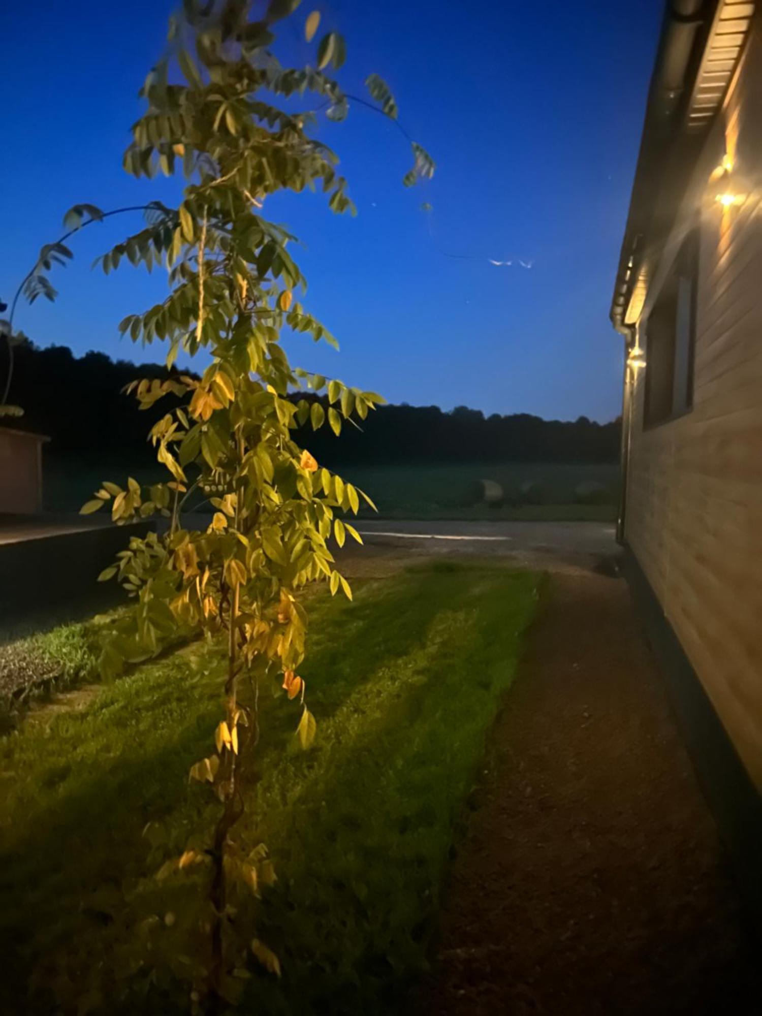 Lesny Park Polanica Apartman Szczytna Kültér fotó