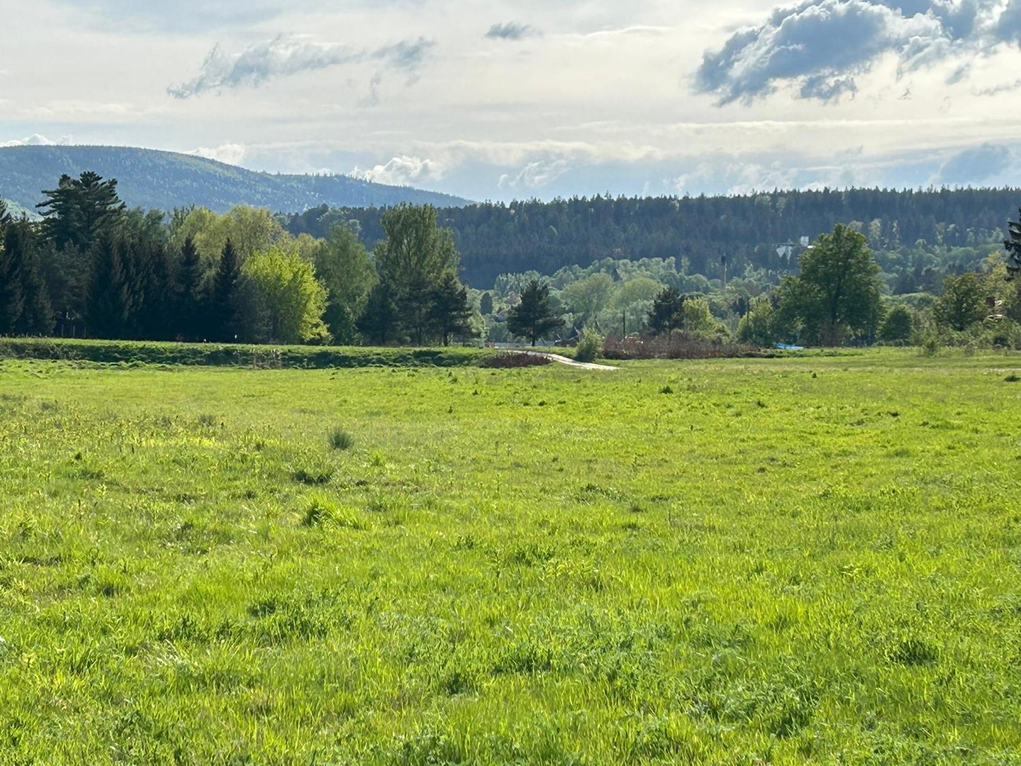 Lesny Park Polanica Apartman Szczytna Kültér fotó