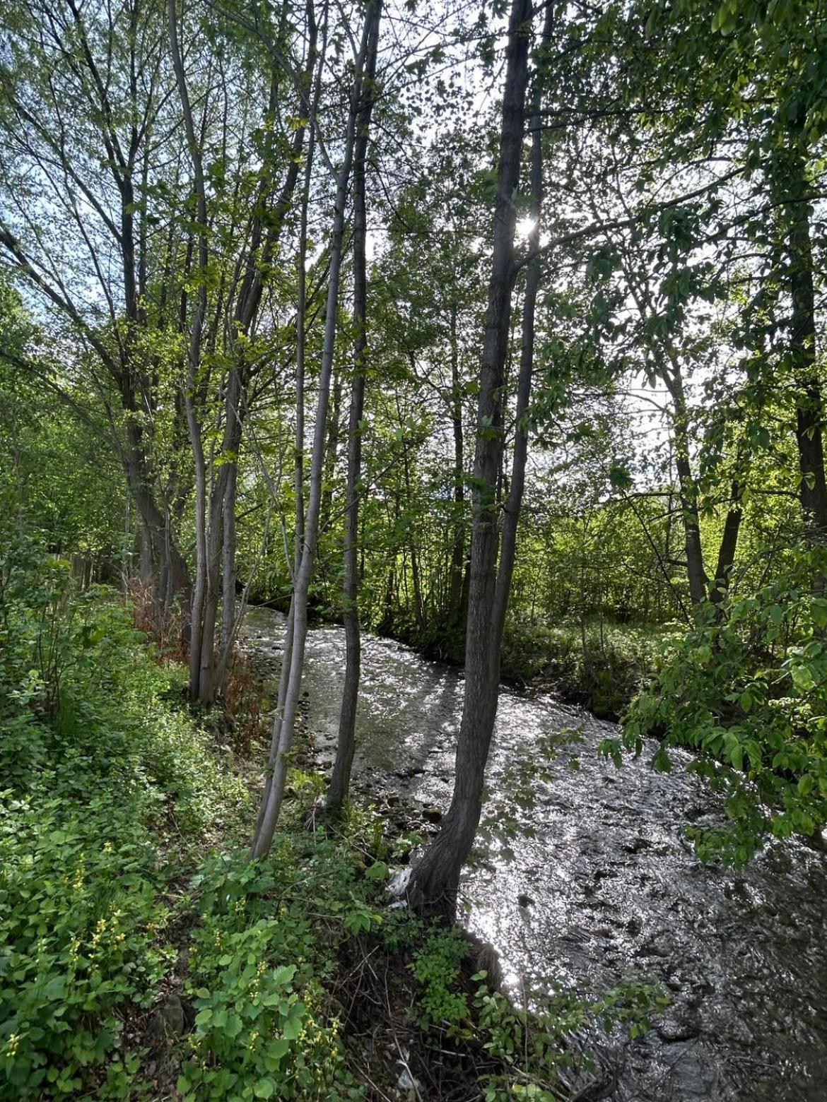Lesny Park Polanica Apartman Szczytna Kültér fotó